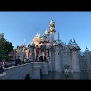 Meet your Posher, Rosalie